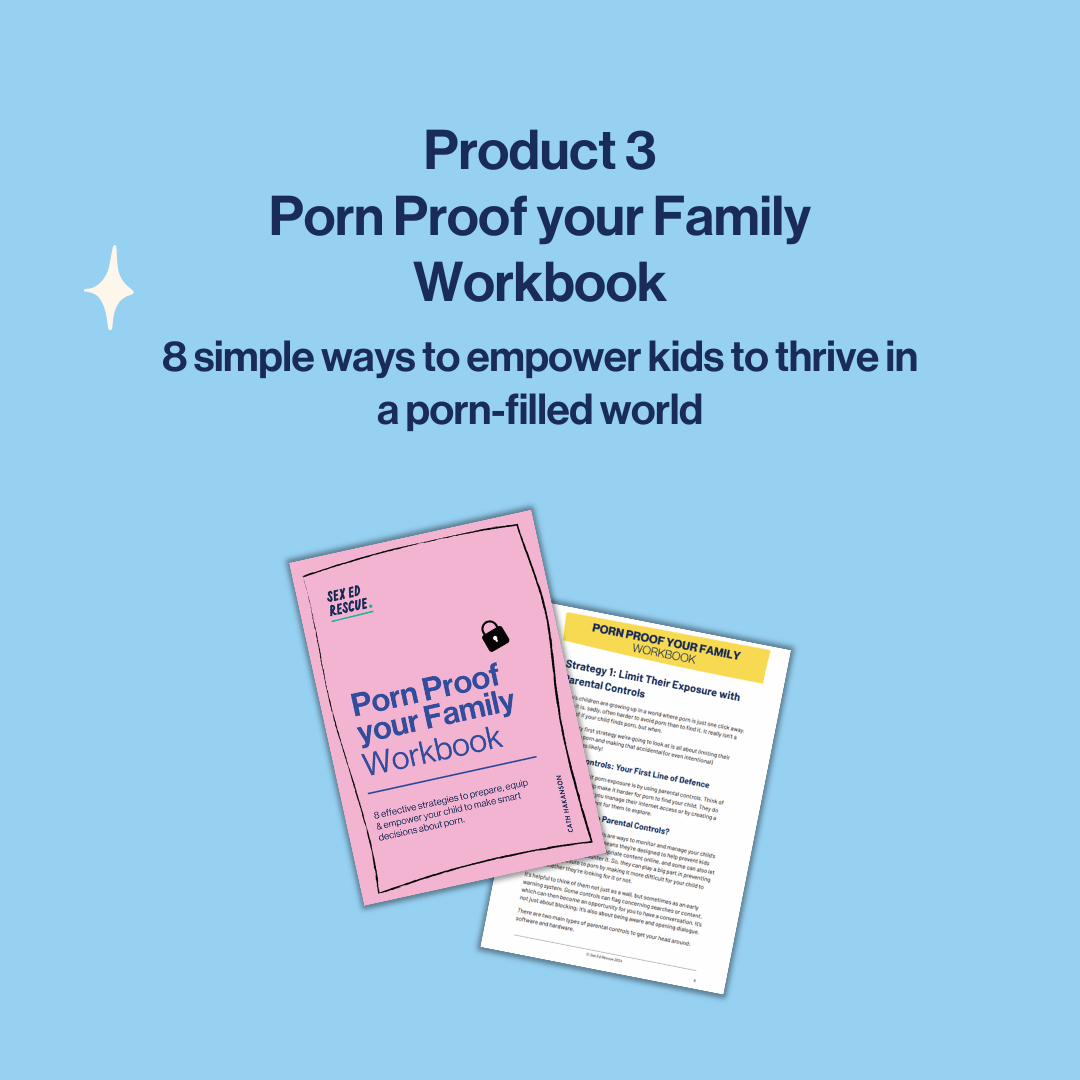 image to show the pornproof your family workbook