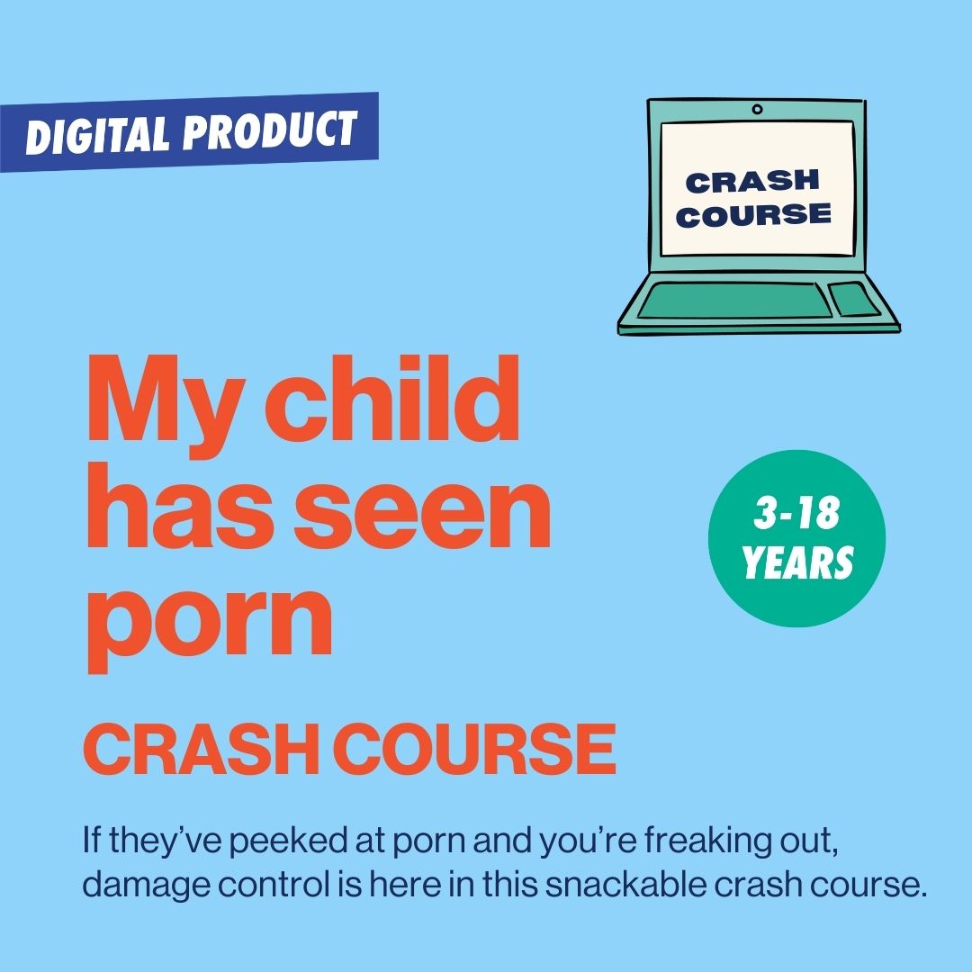 image to illustrate the My Child Has Seen Porn Crash Course