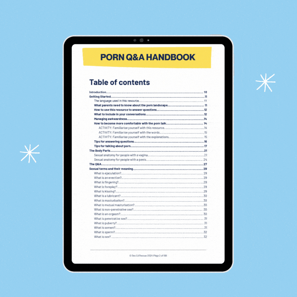 Porn Q&A Handbook