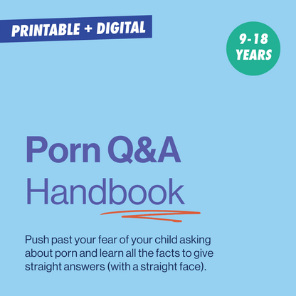 cover image for porn Q&A handbook