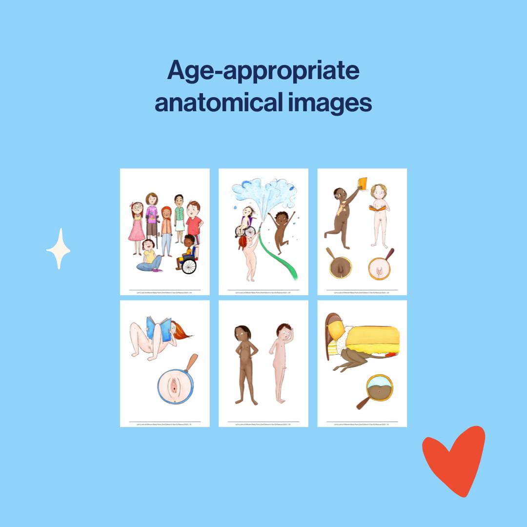examples of anatomically correct illustrations inside Your Body: An Illustrated Guide for Kids