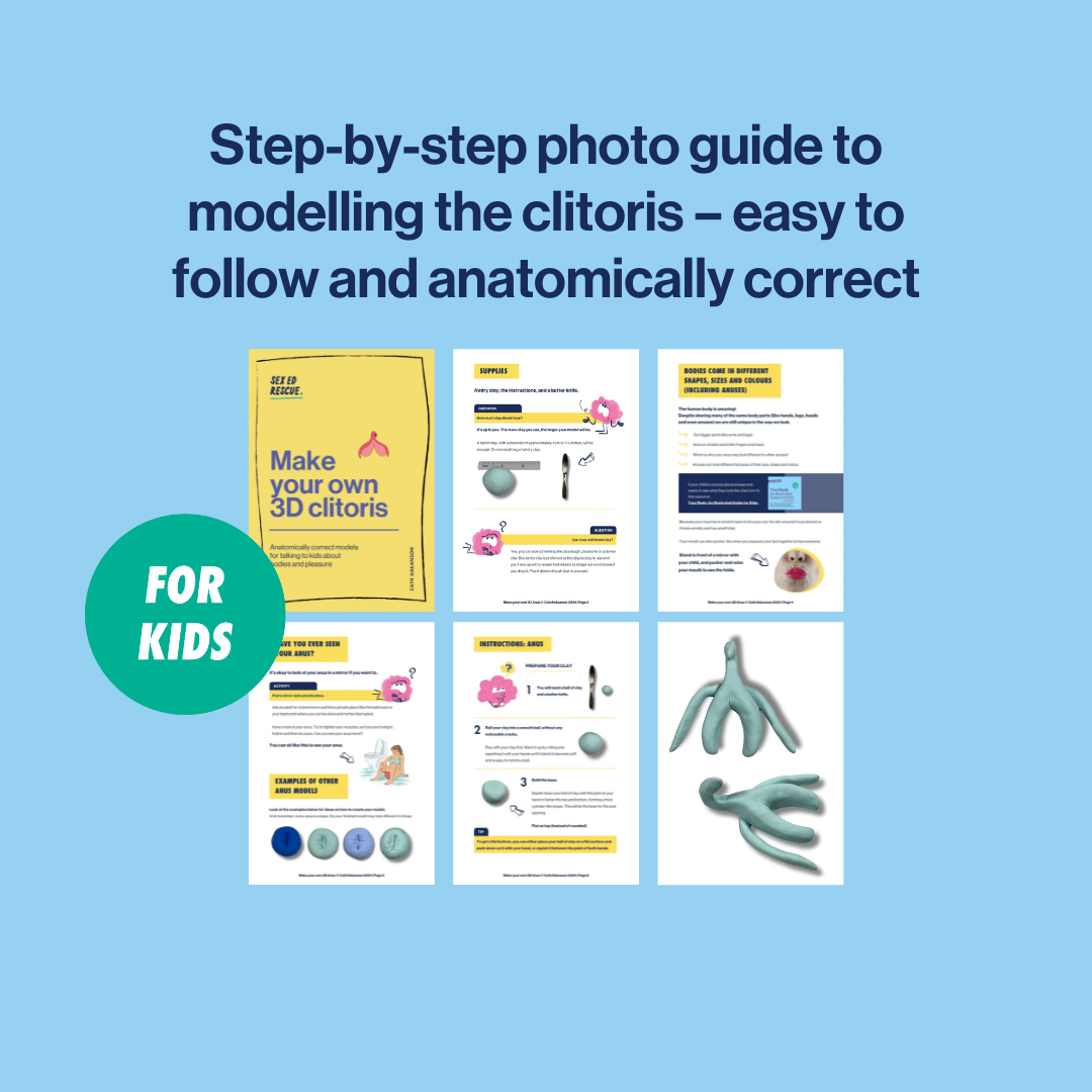 image of what's inside the anatomical clitoris model