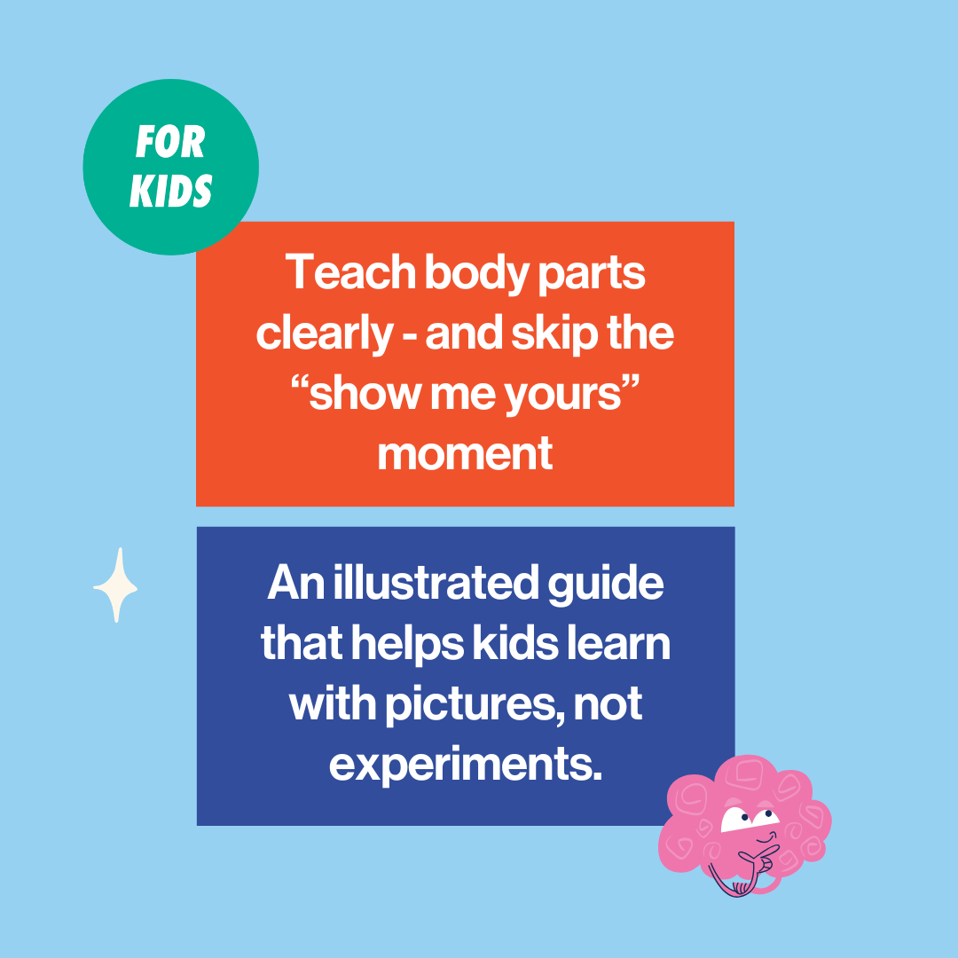 image to share what this anatomically correct body resource is about