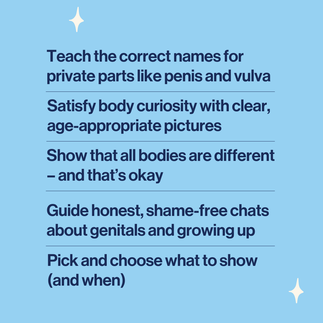 image to explain features of how this anatomically correct human body resource will help parents