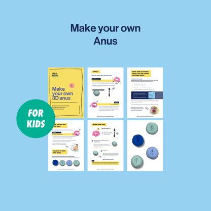 cover and inside the instructions for the anus anatomy model