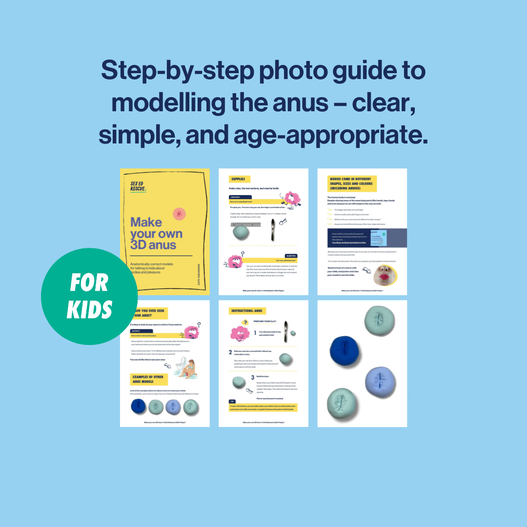 cover and inside the instructions for the anus anatomy model