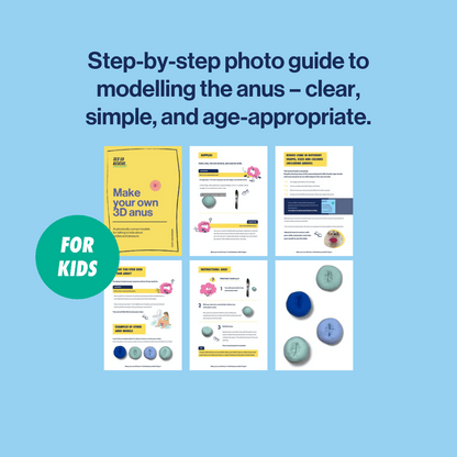 cover and inside the instructions for the anus anatomy model