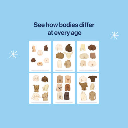 examples of images inside this resource  which includes a body parts list in english