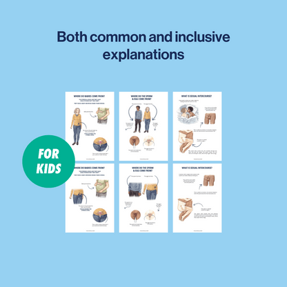 visual slide to show both common and inclusive explanations  from explaining sex resources