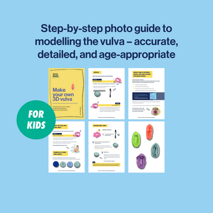 cover and inside pages of the female genital anatomy model instructions