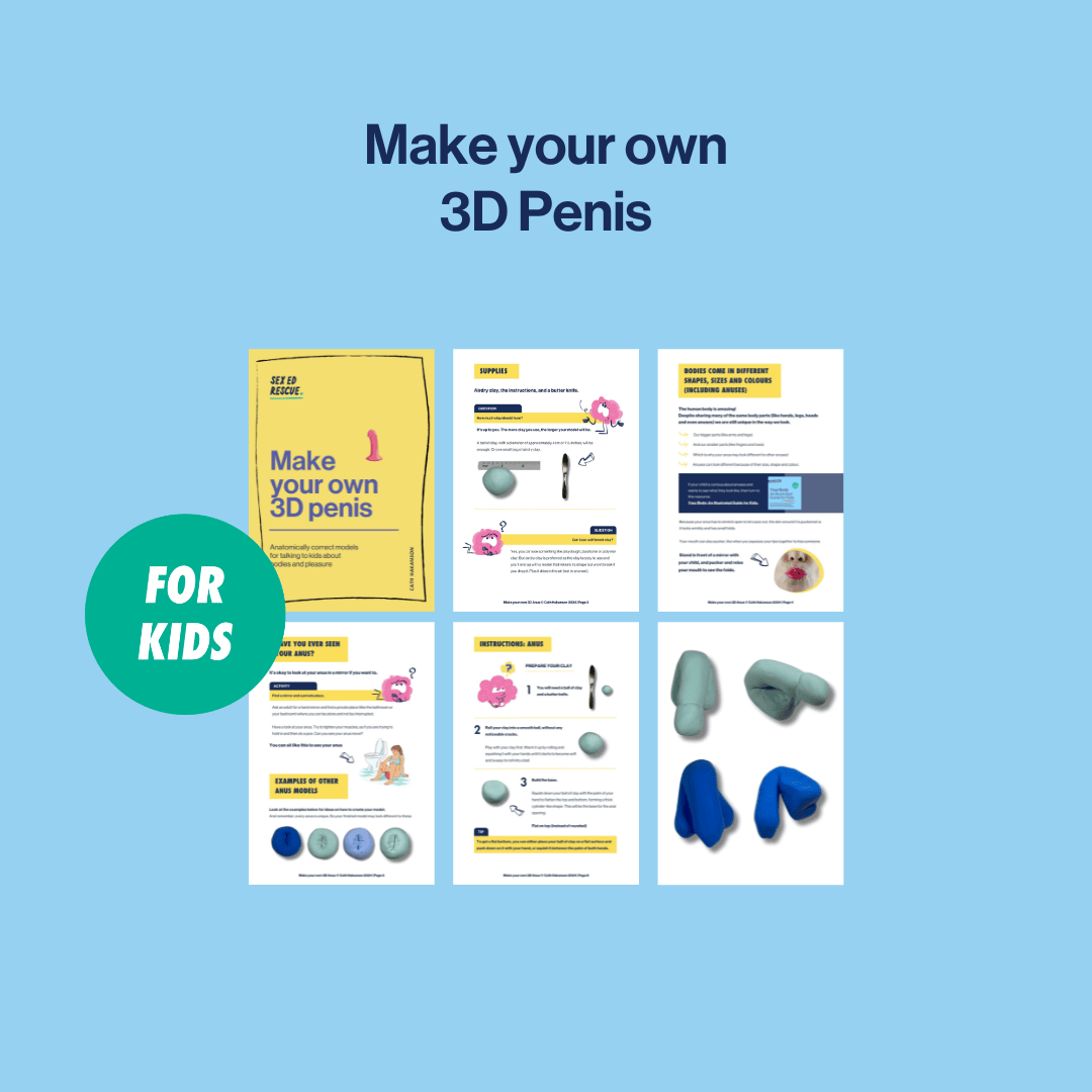 cover and inside the male genital anatomy model instructions