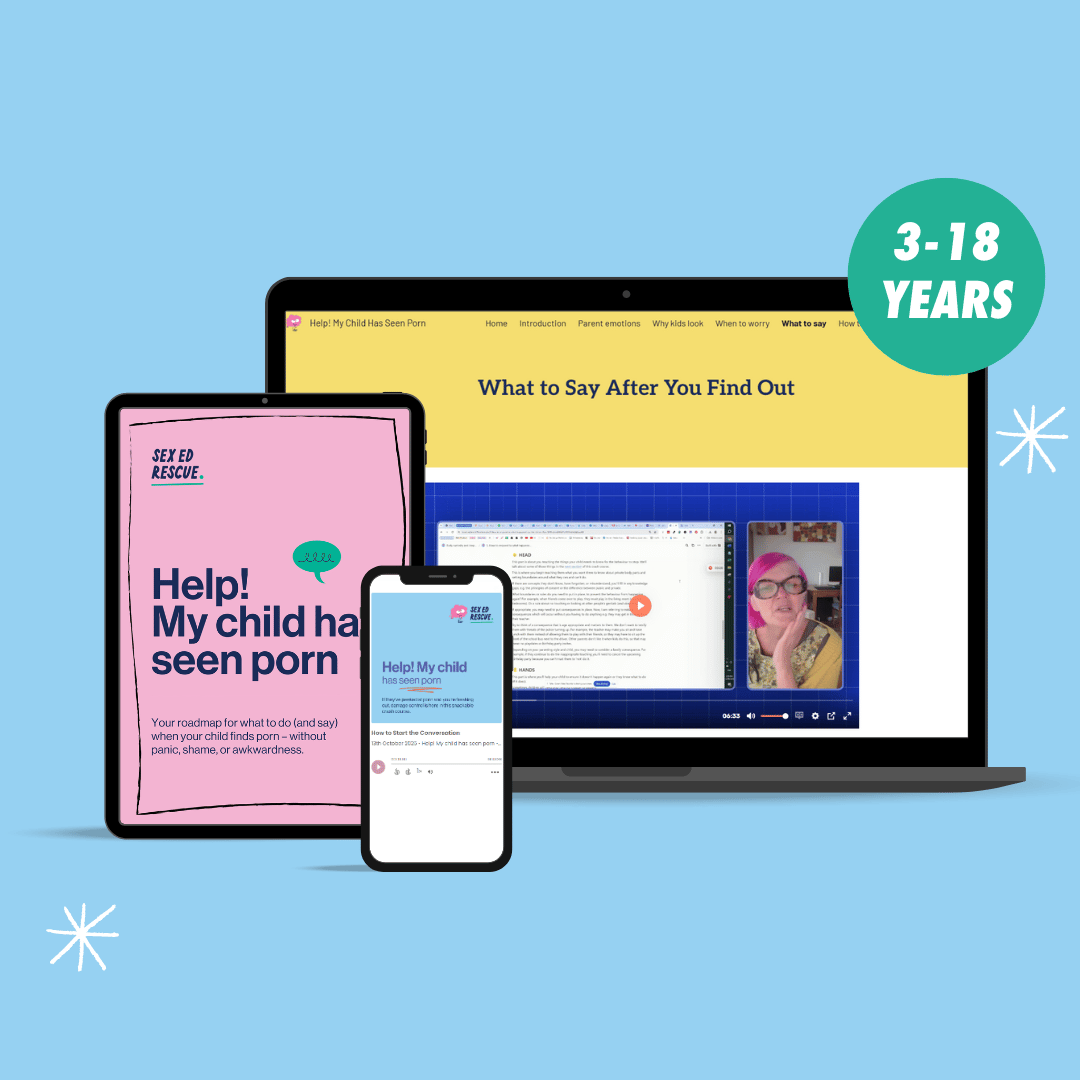 laptop with a look inside the My Child Has Seen Porn Crash Course