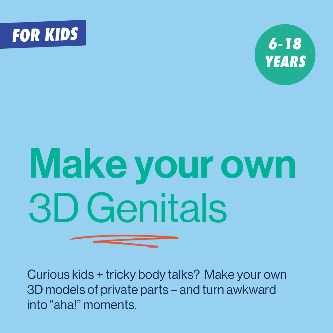 image to explain the title of the DIY reproductive system model