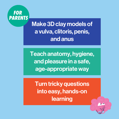 image to explain what the DIY reproductive system models are