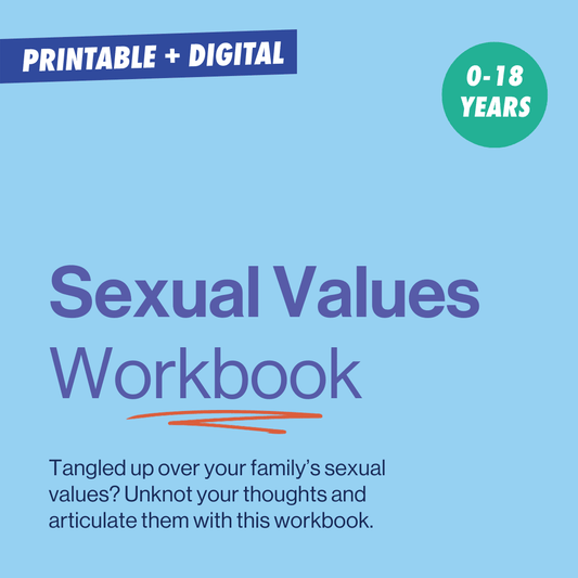 image to show the title of the sexual values workbook